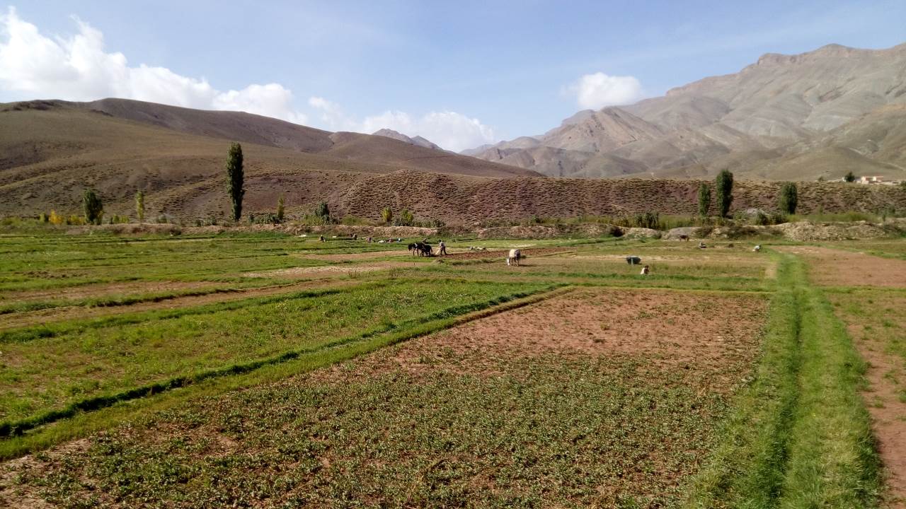 Marocco in bicicletta - The Berber Experience