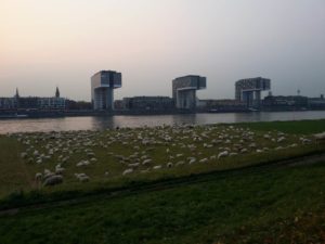 Una vista di alcuni edifici a Colonia